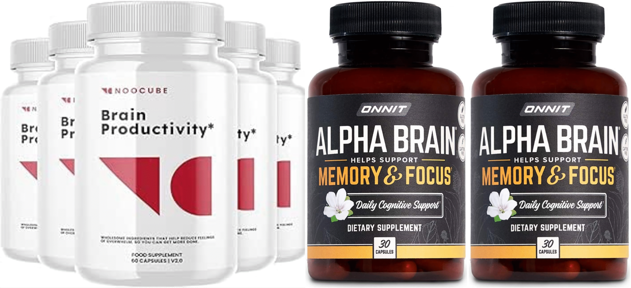 alpha brain vs noocube